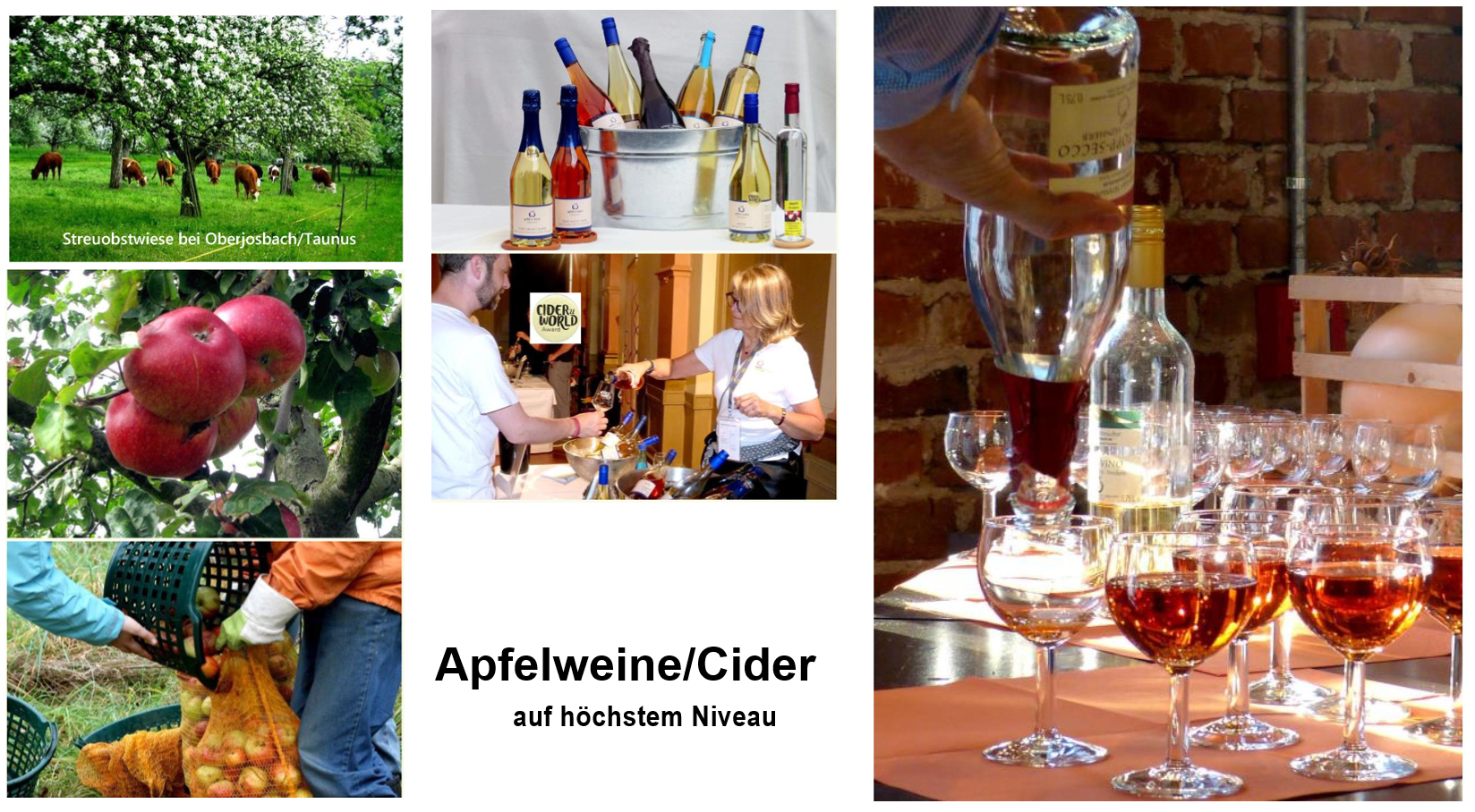 Read more about the article Ausgebucht:  Die besondere Apfelweinprobe im Taunus